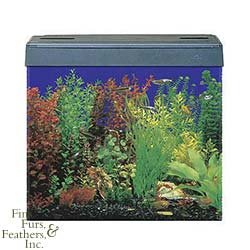 Acrylic Aquarium Eclipse 3