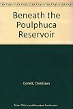 Beneath the Poulaphuca reservoir : the 1939 Poulaphuca survey of the lands flooded by the Liffey reservoir scheme