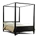Wilshire Cappuccino Poster Platform Bed with Canopy by Lifestyle Solutions - FREE Shipping!