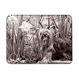 Yorkshire terrier sitting in a bed of.. - iPad Cover (Protective Sleeve) - Art247 - IPads 1 And 2