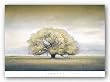 You Knew Me When by William Vanscoy 24"x36" Art Print Poster