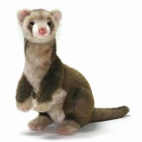Plush Ferret 12