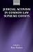 Judicial Activism in Common Law Supreme Courts