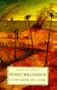 A Fox Under My Cloak (Chronicle of Ancient Sunlight Series)
