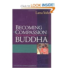 Becoming the Compassion Buddha: Tantric Mahamudra for Everyday Life
