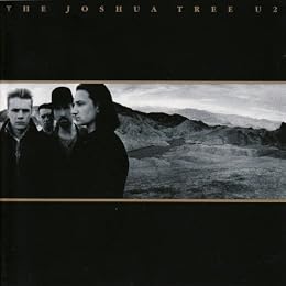 U2 Picture 8