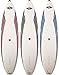Bic Sports 6'7 Surfboard