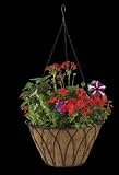 Austram 25120535 16-Inch Black Lotus Hanging Planter with Chain