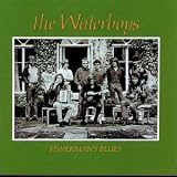 Fishermans Bluesby Waterboys