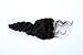 Helene Hair Brazilian Virgin Hair Human Hair Loose Wave Top Lace Closure (4