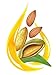 Prime Month ONLY Sale Price $11.49. Premium Sweet Almond Oil 16 oz. Select US Farms. 100% Pure and Natural Moisturizing, Massage and Carrier Oil.