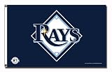 Tampa Bay Devil Rays 3X5 Banner Flag
