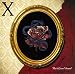 X Free Lyrics