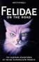 Felidae on the Road