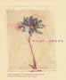 Wildflowers: Deluxe Notecards