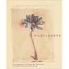 Wildflowers: Deluxe Notecards