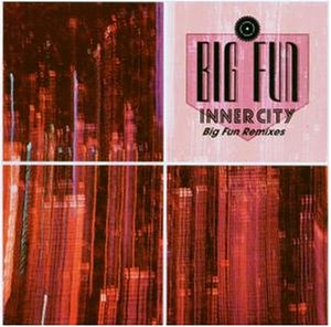 INNER CITY - Big fun (1988) [Vinyl Single] - Zortam Music