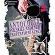 Anthology of Polish Experimental Animation (3 DVD)