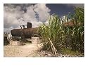 18th Century Rum Distillery, Marie-Galante Island, Guadaloupe, Caribbean Photographic Poster Print by Walter Bibikow, 16x12
