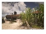 18th Century Rum Distillery, Marie-Galante Island, Guadaloupe, Caribbean Subject Photographic Poster Print by Walter Bibikow, 56x42