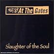 Slaughter Of The Soul