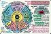 Health & Personal Care : Helion Communications - Iris Diagnosing - Wallet Cards