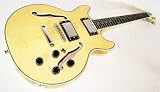 Produkt-Bild: Jazz & Blues E-Gitarre, Semi Acoustic - N