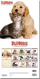 Buddies (Dogs and Cats) 12-Month Art Wall Calendar 2011 - 11.5
