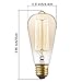 Kiven 6 Pack STG Vintage Antique 60 Watt Edison Light Bulb E26 Base Dimmable Filament Incandescent Bulbs