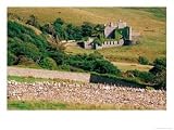 Overhead of Drystone Walls in Front of Clifden Castle, Clifden, Ireland Photographic Print by Richard Cummins, 40