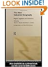 The New Industrial Geography: Regions, Regulation and Institutions (Routledge Studies in the Modern World Economy)