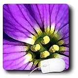 Digital Artwork Design - Digital Artwork Design 1 - Mouse Pads