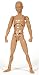 Real Action Heroes 301改 NAKED