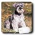schnauzer4  - Dogs Schnauzer Schnauzer Mouse Pads