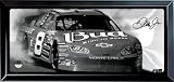 Dale Earnhardt Jr. Nascar Plaque
