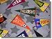 Sports Fabrics By Baum Textiles - 100% Polyester Fleece, 60 WIde