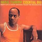 Essential Dub: Ruff...