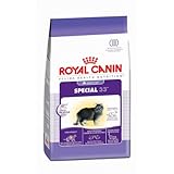 Royal Canin Dry Cat Food, Special 33 Formula, 15-Pound Bag