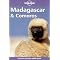 Mad About Madagascar
