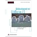 Webdesign & Weltherschaft