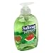 Softsoap Fruit Essentials Antibacterial Liquid Hand Soap, Juicy Melon, Pump, 7.5 Ounces