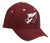 Florida State Seminoles Infant One-Fit Hat