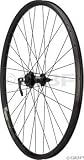 Dimension Front 29er SRAM 406 6-bolt WTB FX28