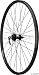 41WBR aCqDL. SL75  Wheelset Disc