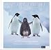 Love Notes. We are family! Mit CD