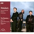 Trios Op.99 & 100 / Notturno / Sonatensatz
