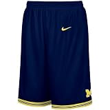 Nike Michigan Wolverines Navy Blue Youth Mesh Shorts