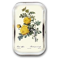 Yellow Rose - Rectangle Glass Paperweight (2-1/2" x 4" x 1")