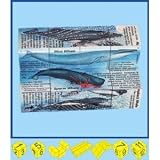 Zoobookoo Cube - Dolphins & Whales