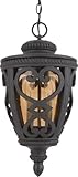 Quoizel FQ1910MK01 French Quarter 2-Light Outdoor Hanging Lantern, Marcado Black
